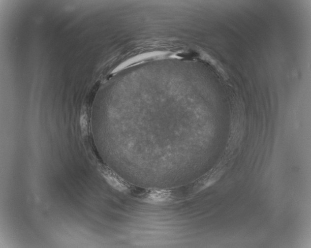 X0000078870720200612041958