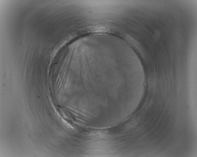 X0000078870721200612041957