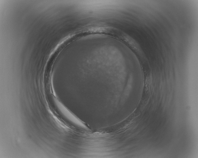 X0000078870722200612041957