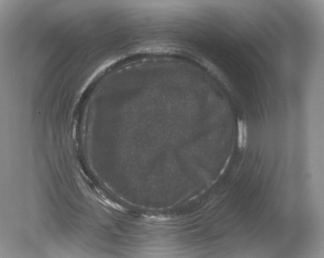 X0000078870723200612041957