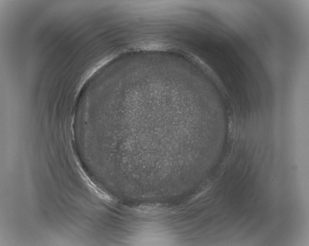 X0000078870725200612041957