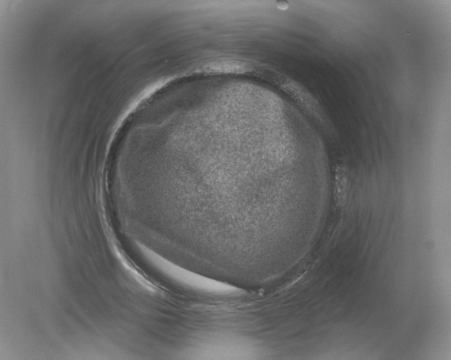 X0000078870726200612041957