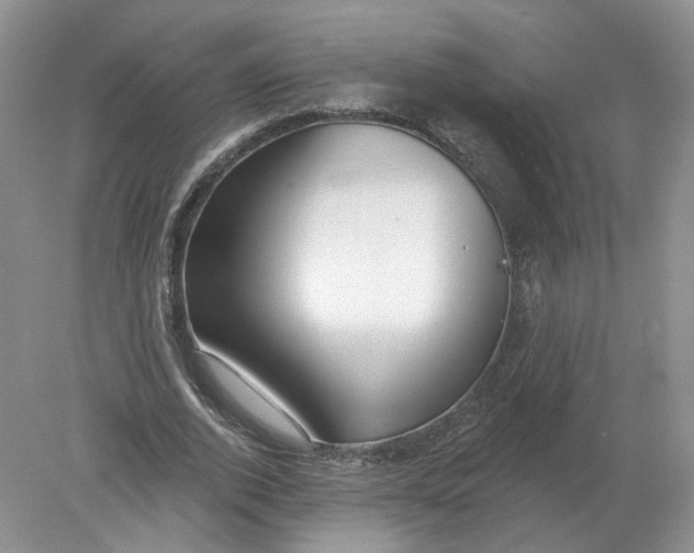 X0000078870728200612041957