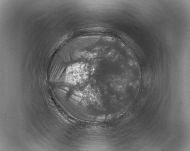 X0000078870729200612041957