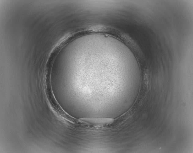 X0000078870730200612041957