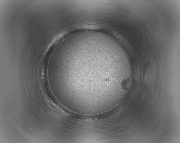 X0000078870731200612041957