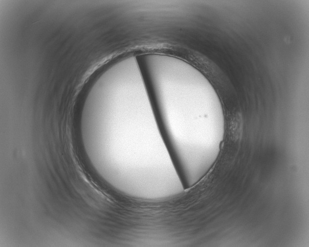 X0000078870732200612041957