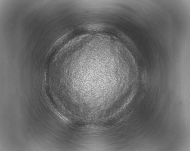 X0000078870733200612041957