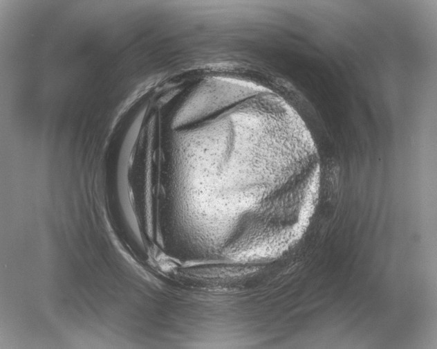 X0000078870734200612041957