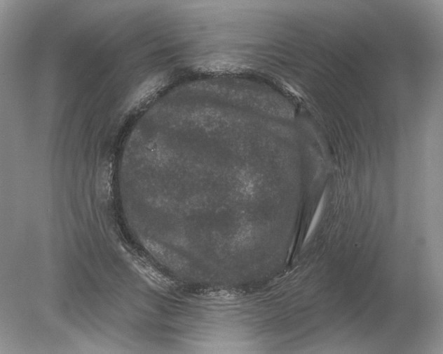 X0000078870735200612041957