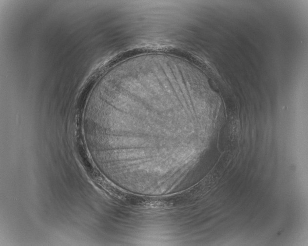 X0000078870736200612041957