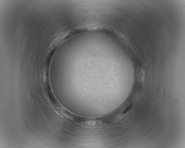 X0000078870740200612041957