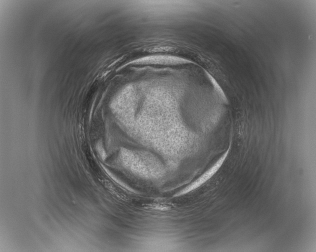 X0000078870743200612041957