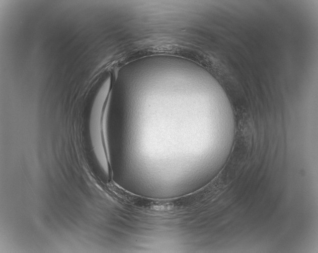 X0000078870744200612041957