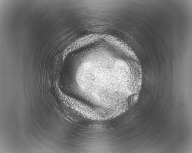 X0000078870745200612041957