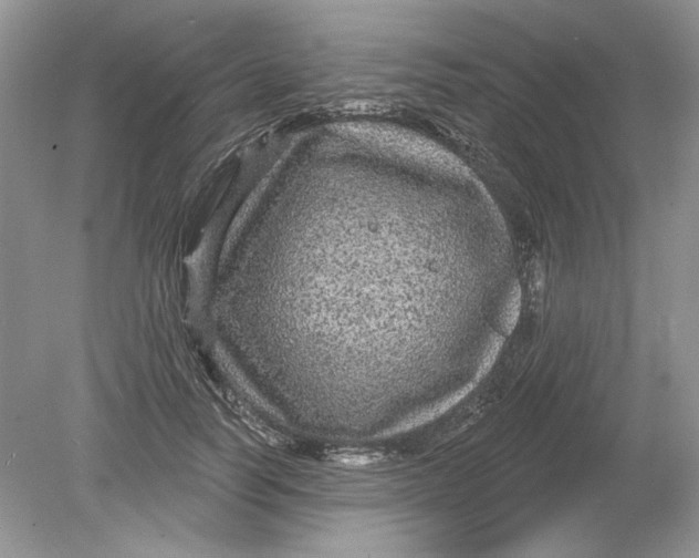 X0000078870746200612041957