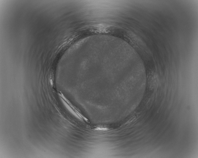 X0000078870747200612041958