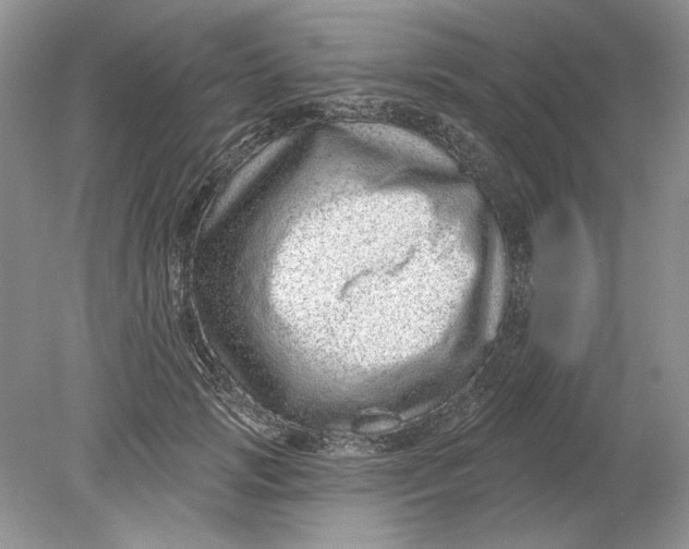 X0000078870749200612041958