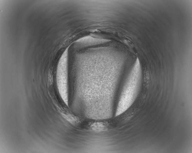 X0000078870751200612041958