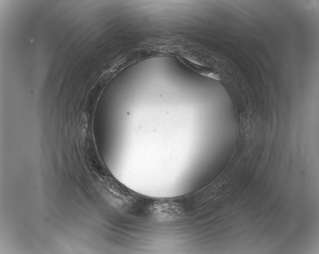 X0000078870752200612041958