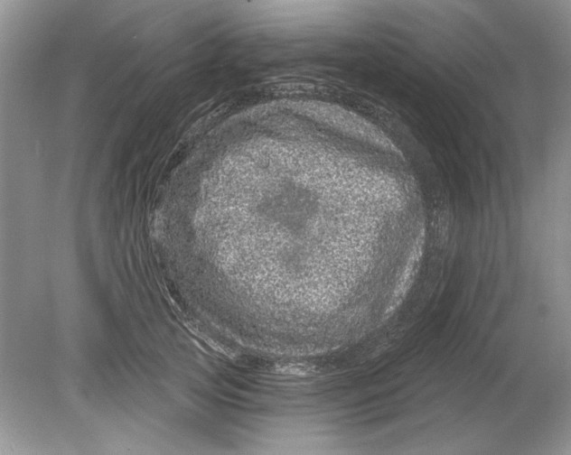 X0000078870753200612041958