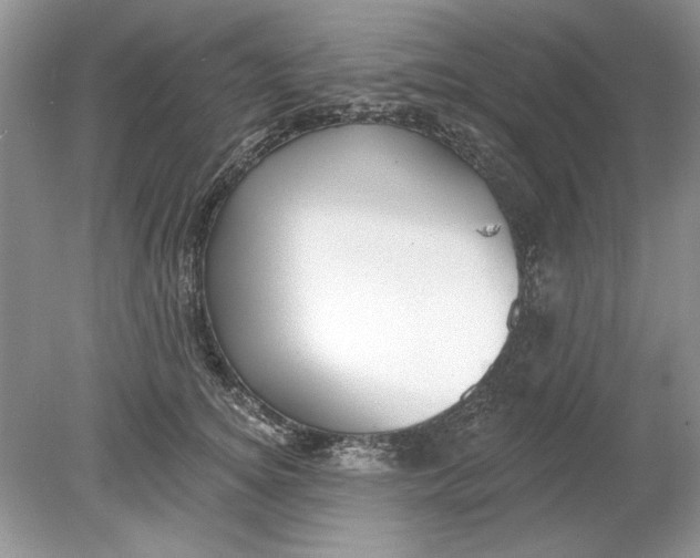 X0000078870756200612041958