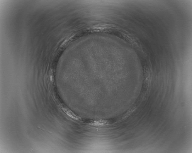 X0000078870758200612041958