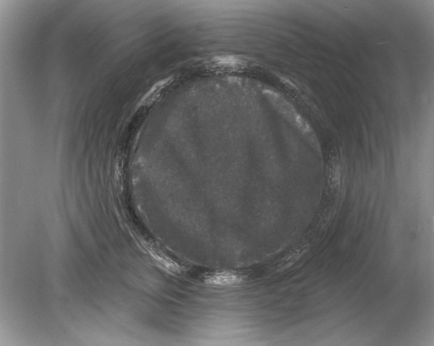 X0000078870759200612041958