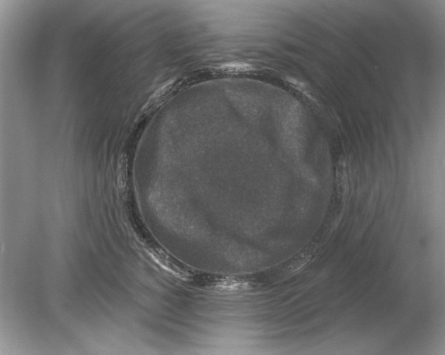 X0000078870760200612041958