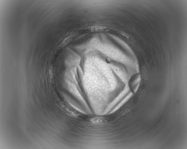 X0000078870761200612041958