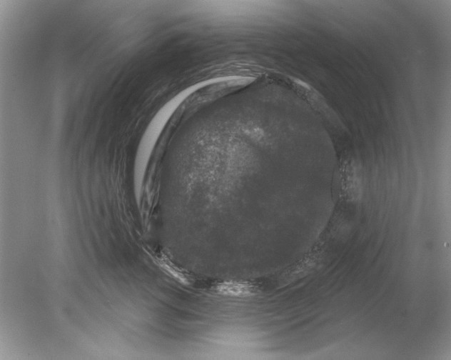 X0000078870762200612041958