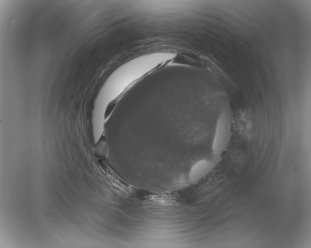 X0000078870763200612041958