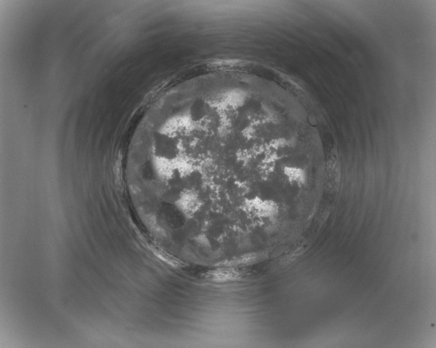 X0000078870765200612041958