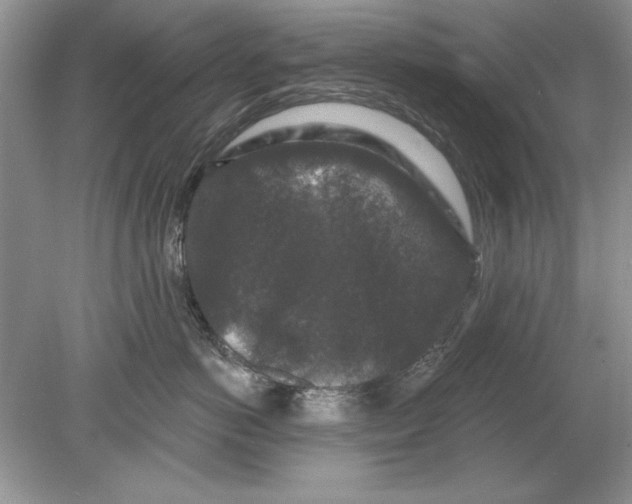 X0000078870766200612041958