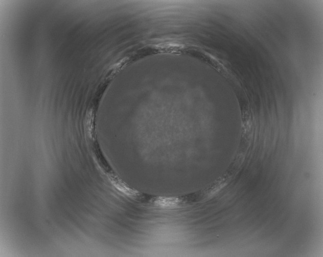 X0000078870767200612041958