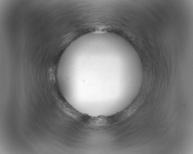 X0000078870768200612041958