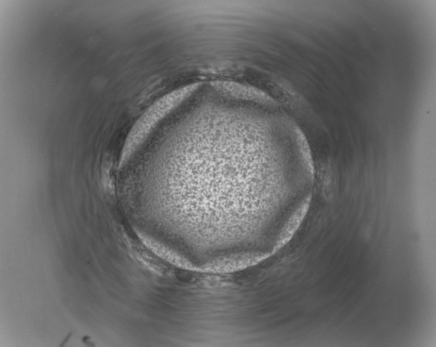 X0000078870770200612041957