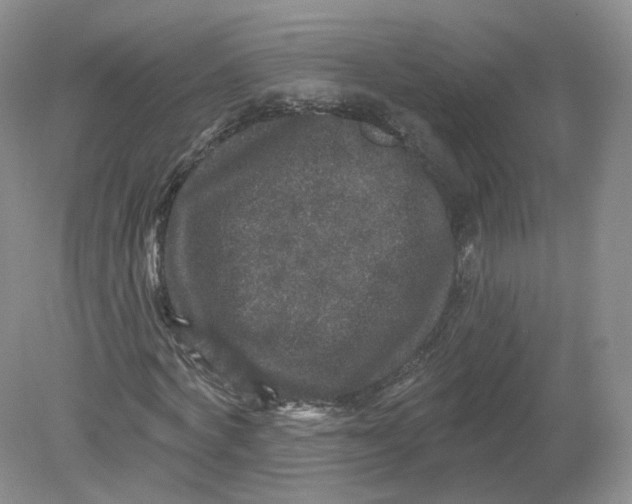 X0000078870772200612041957