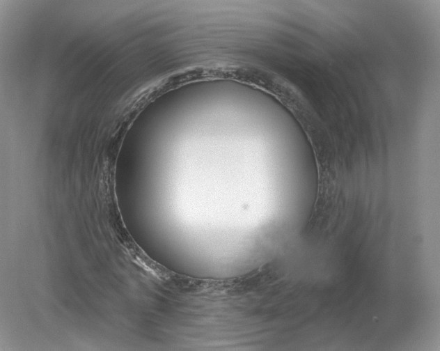 X0000078870773200612041957