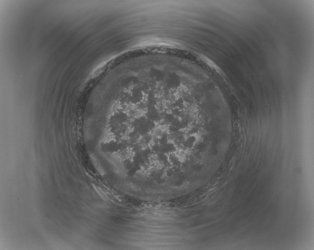 X0000078870775200612041957