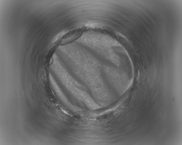 X0000078870776200612041957