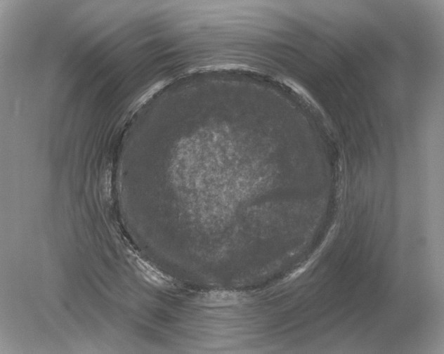 X0000078870777200612041957