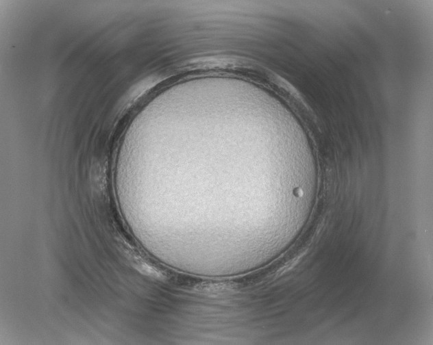 X0000078870778200612041957