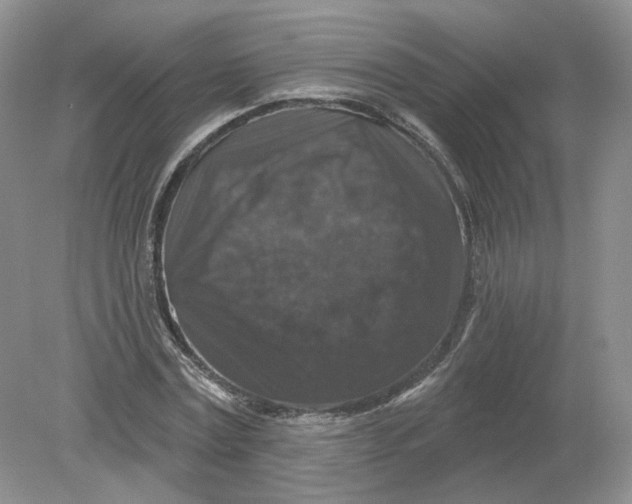 X0000078870779200612041957