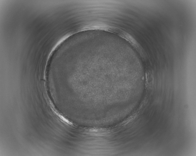 X0000078870780200612041957