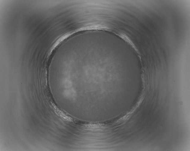 X0000078870781200612041957