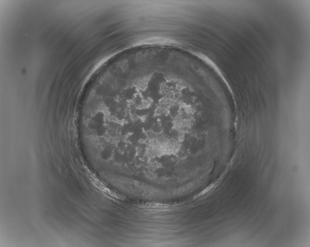 X0000078870783200612041957