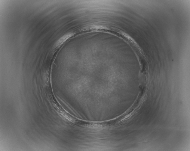 X0000078870785200612041957