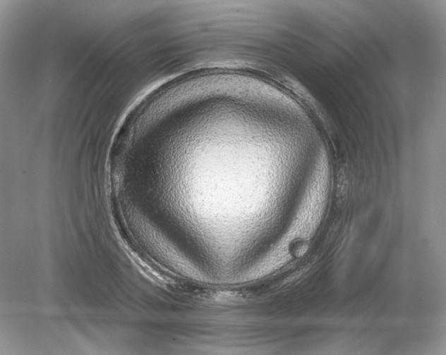 X0000078870787200612041957