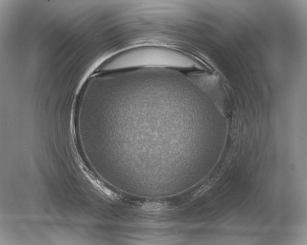 X0000078870788200612041957